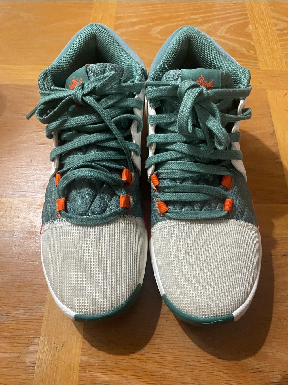 Nike LeBron witness 8 cannon shoes